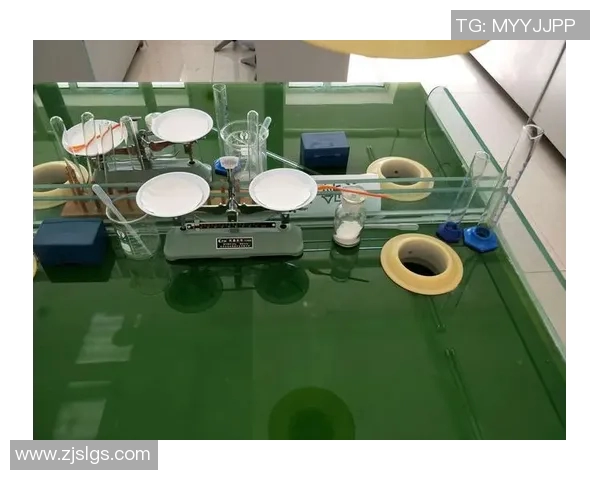 足球之夜聚焦球星访谈 揭秘背后的训练与成长之路